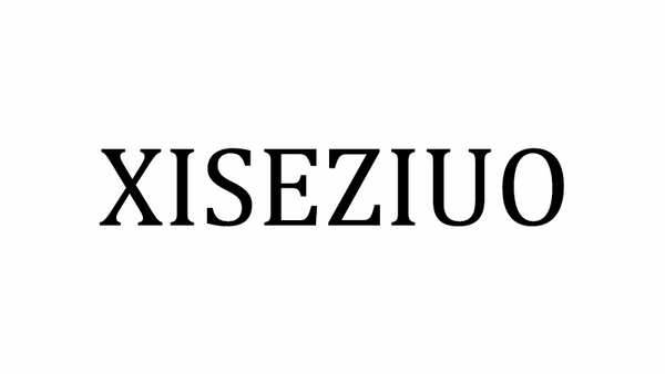 XISEZIUO